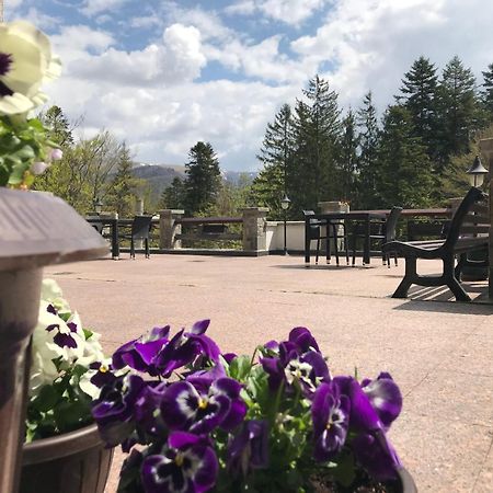 Vila Terase Hotel Sinaia Kültér fotó