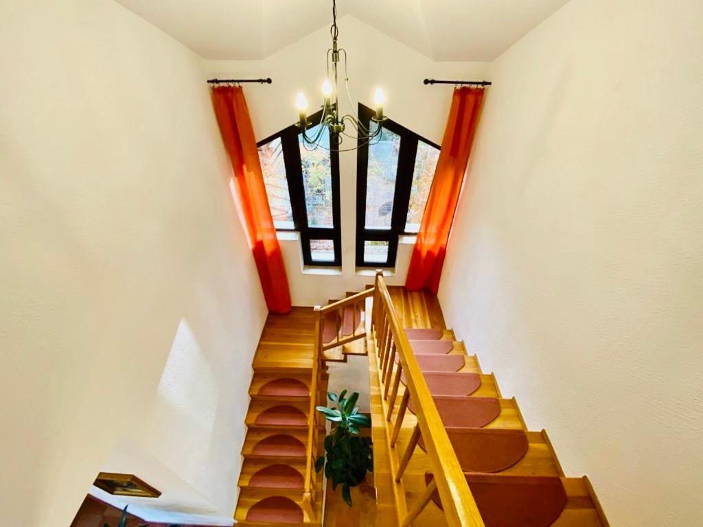 Vila Terase Hotel Sinaia Kültér fotó
