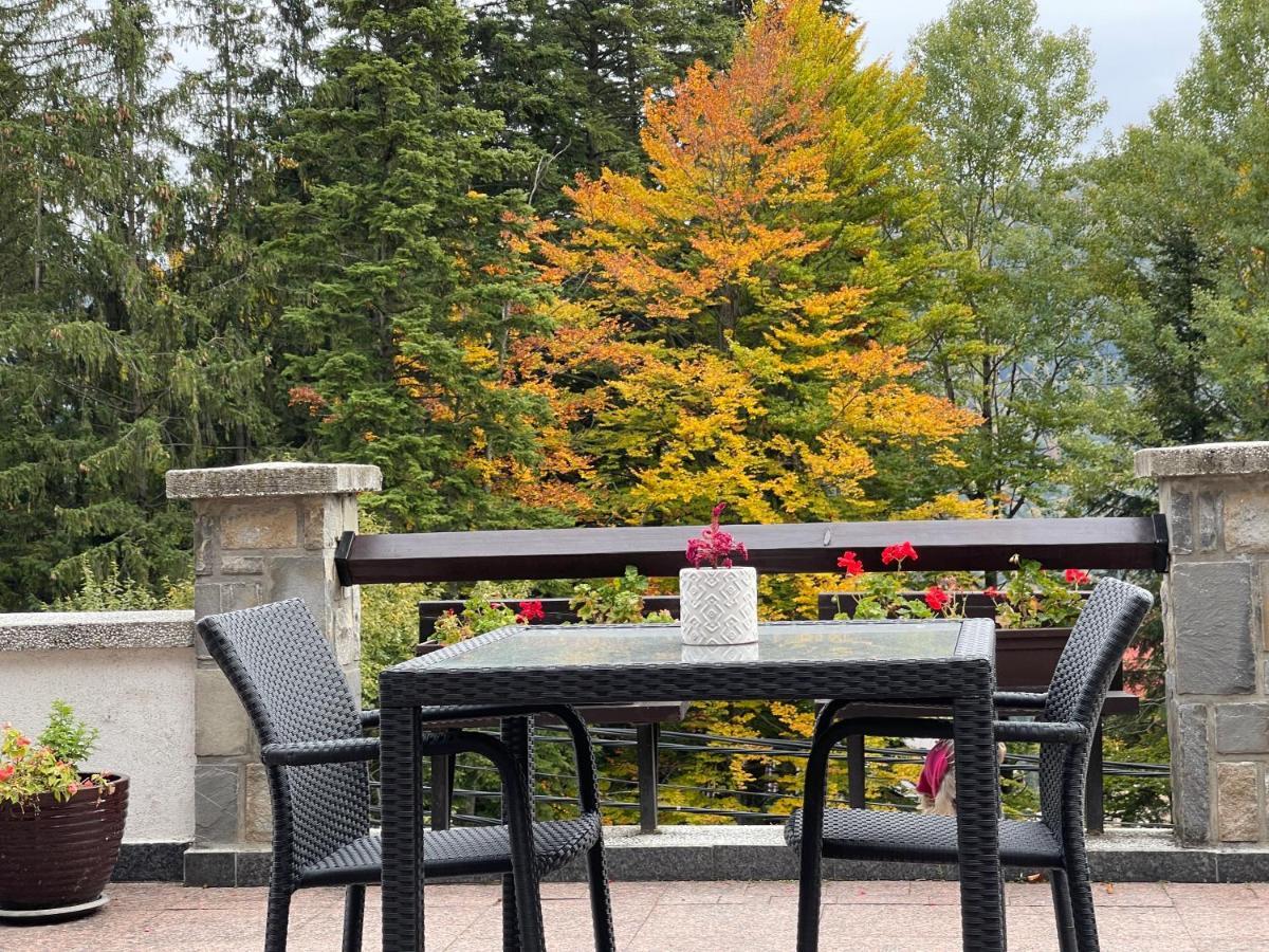 Vila Terase Hotel Sinaia Kültér fotó