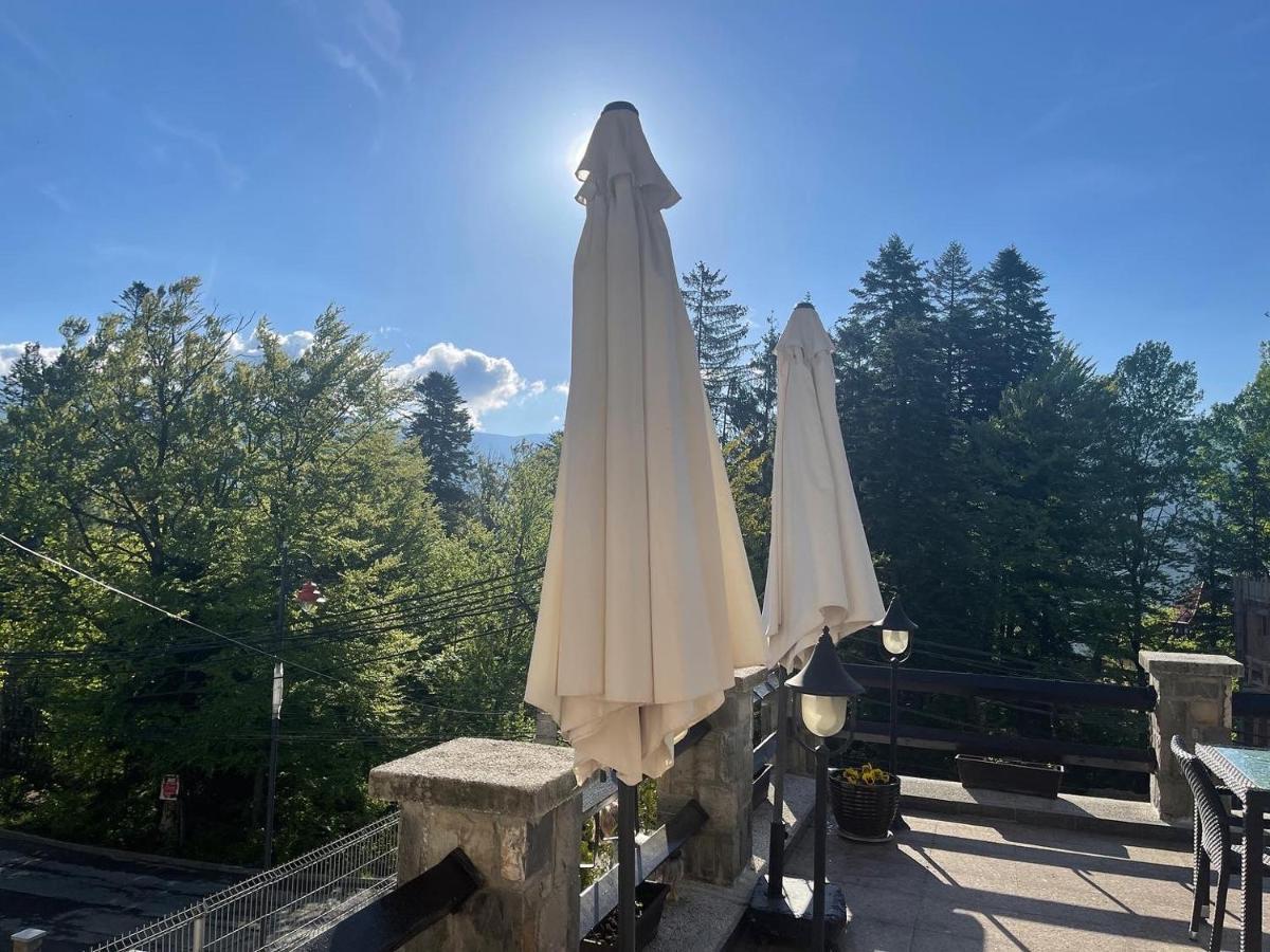 Vila Terase Hotel Sinaia Kültér fotó