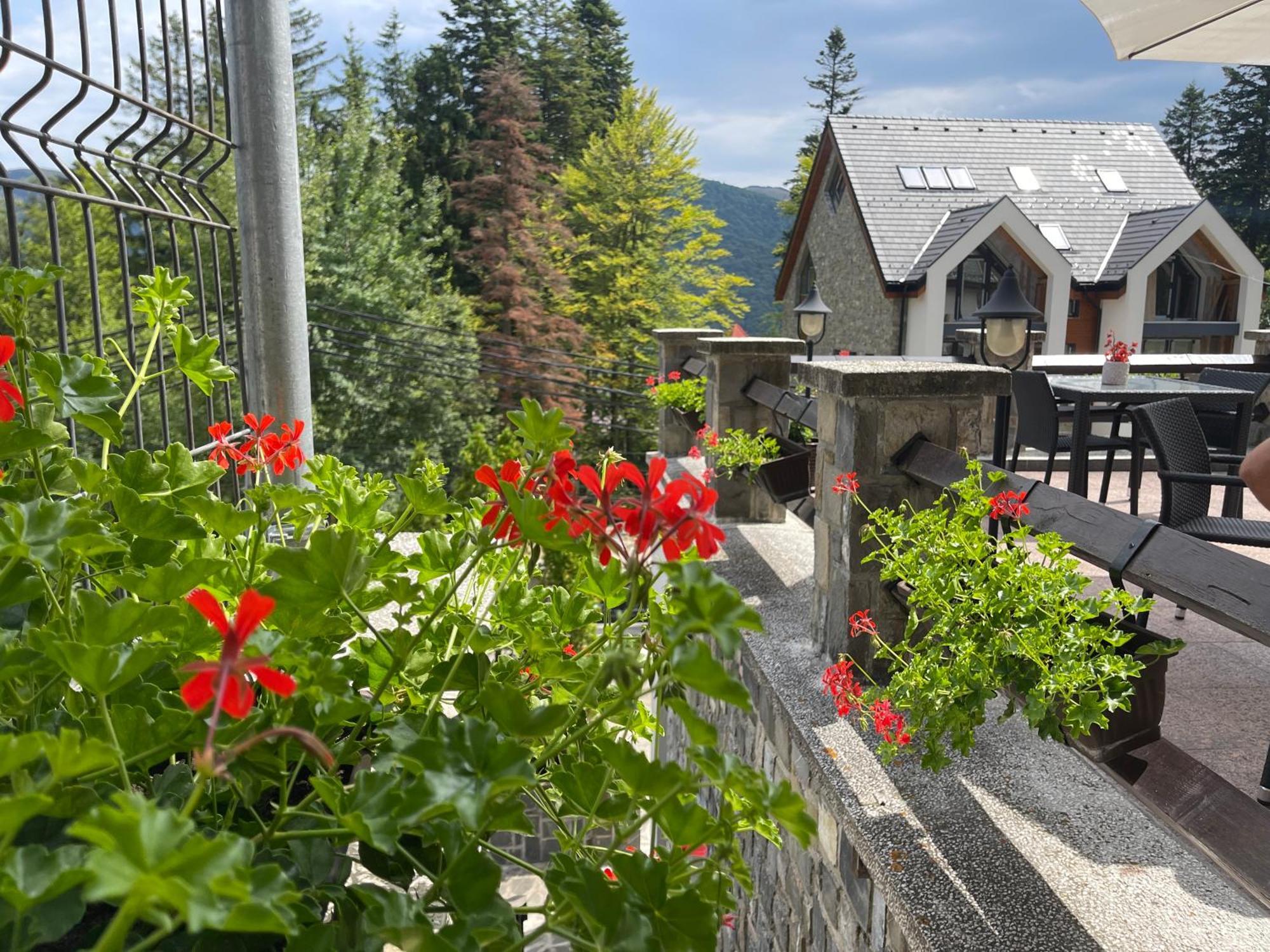 Vila Terase Hotel Sinaia Kültér fotó