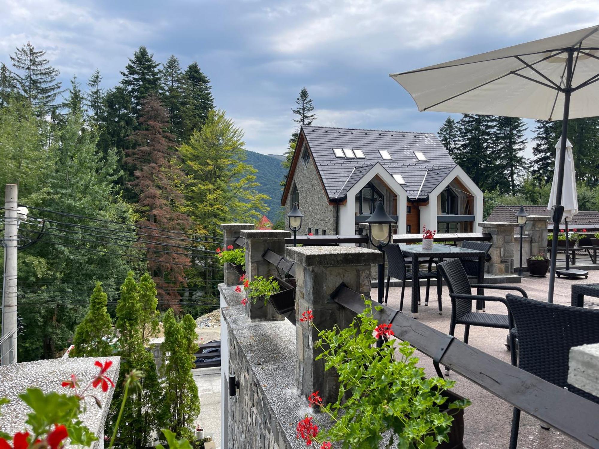 Vila Terase Hotel Sinaia Kültér fotó