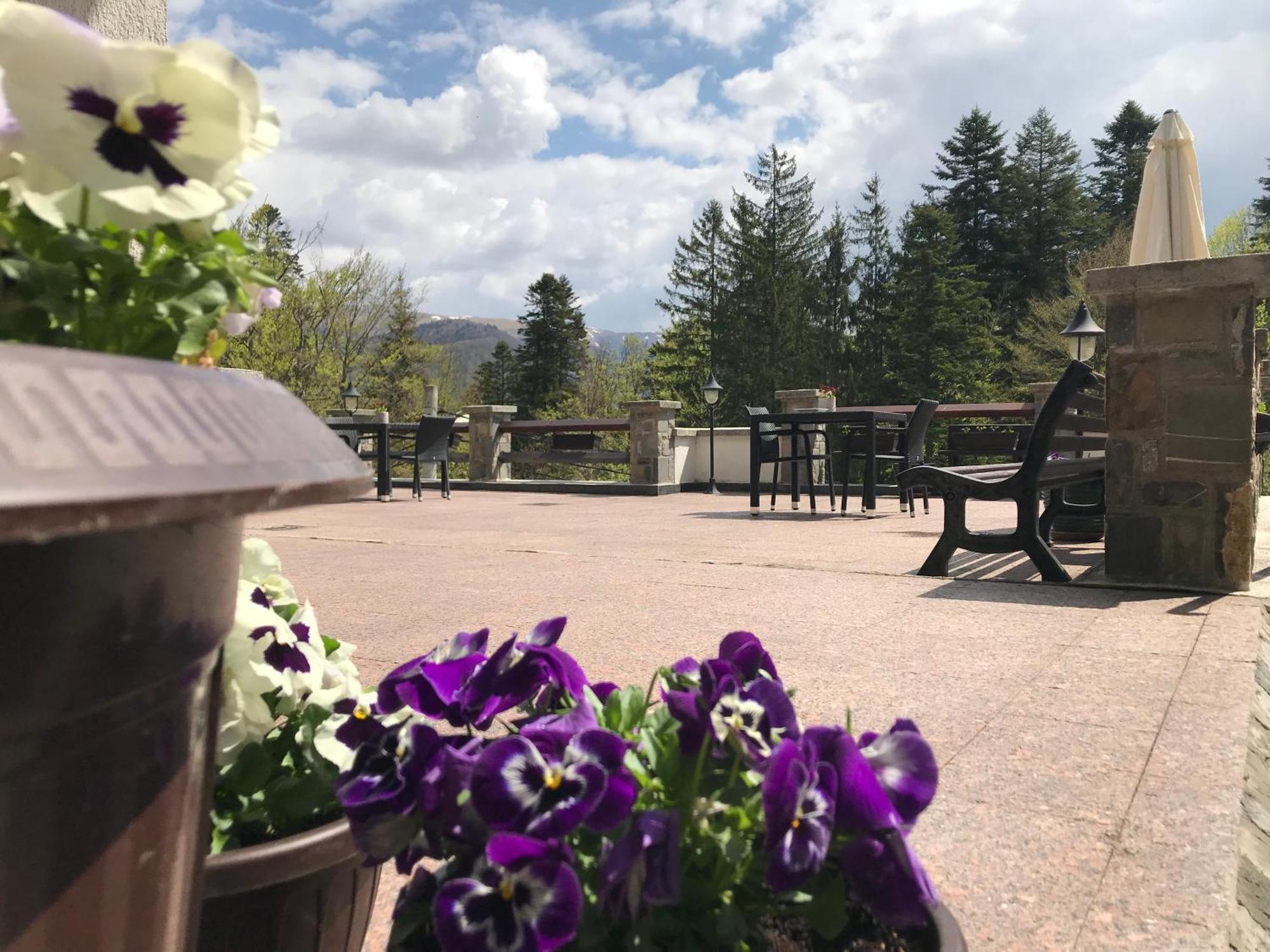 Vila Terase Hotel Sinaia Kültér fotó