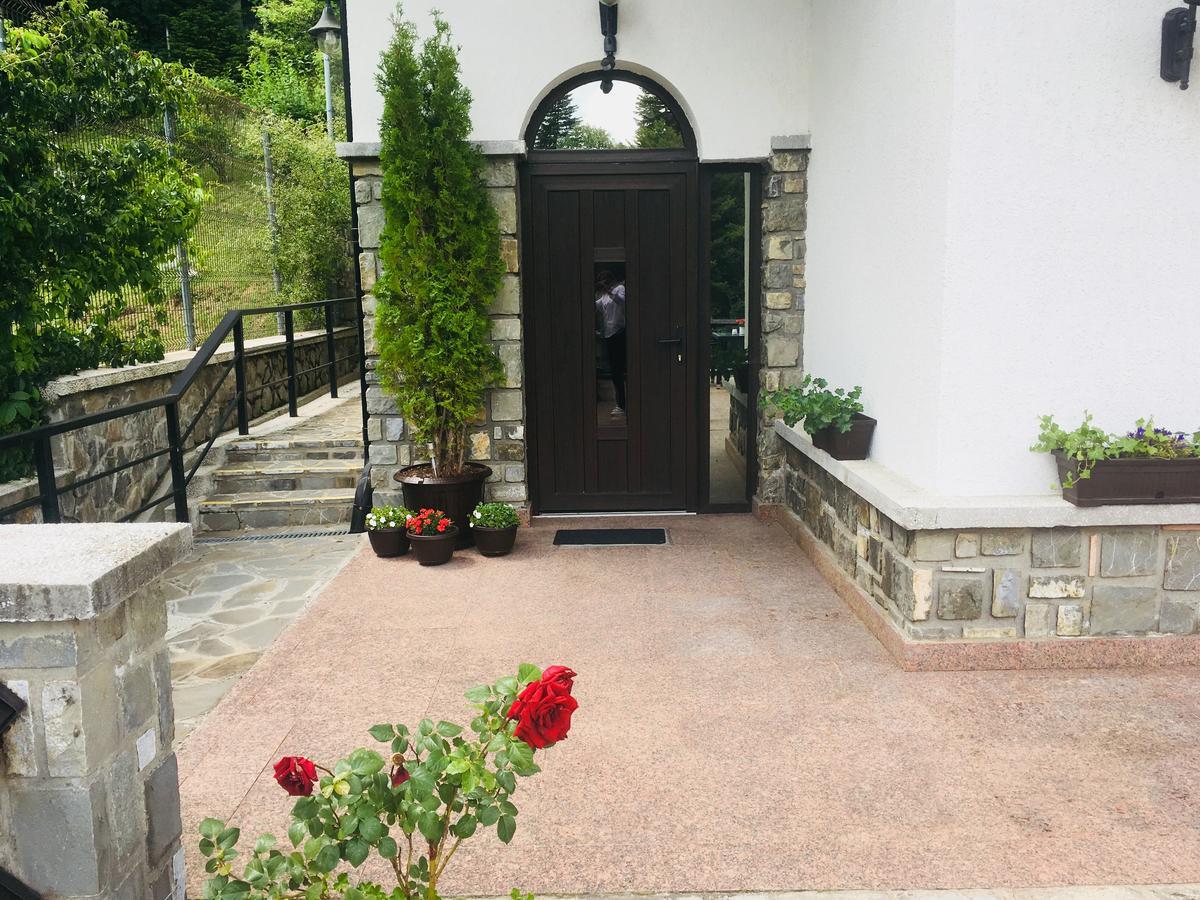 Vila Terase Hotel Sinaia Kültér fotó