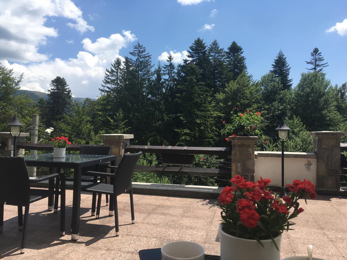 Vila Terase Hotel Sinaia Kültér fotó