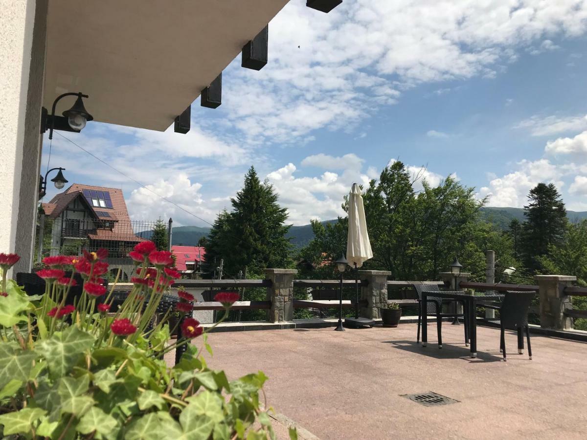 Vila Terase Hotel Sinaia Kültér fotó