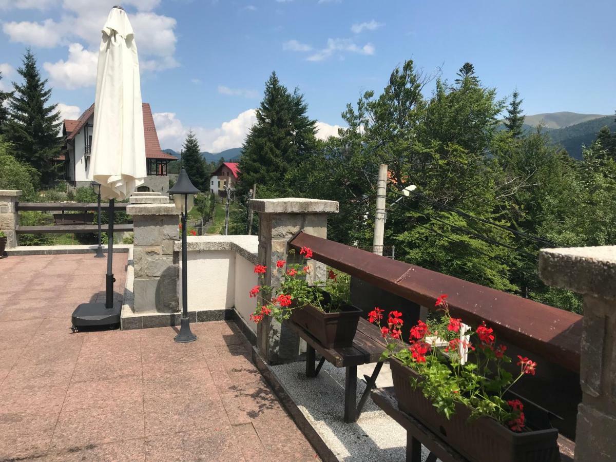 Vila Terase Hotel Sinaia Kültér fotó